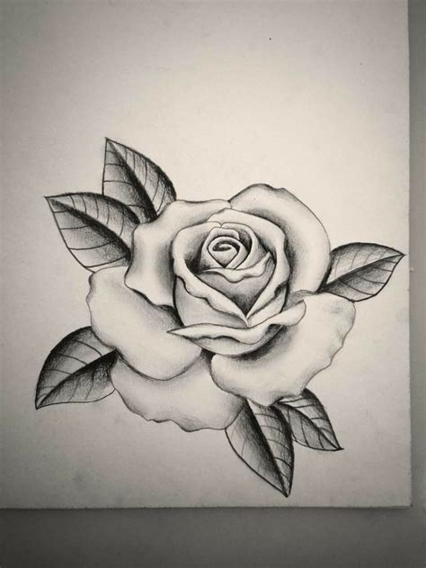 gezeichnet rose tattoo vorlage|57 Rose zeichnung tattoo